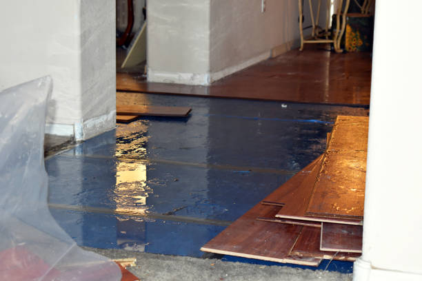 Professional Water Damage Restoration technician working in Hillrose, CO